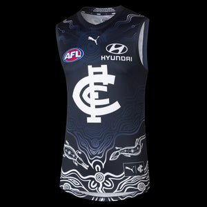 Carlton Blues 2024 Indigenous Guernsey