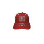 Sydney Swans Youth  Logo Cap